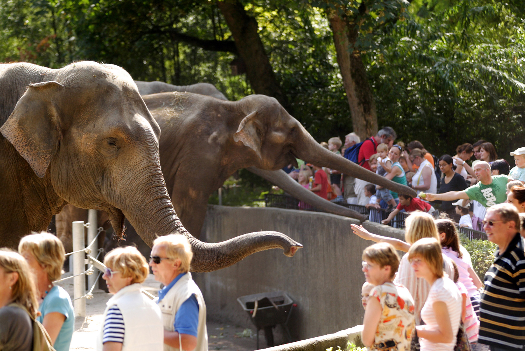 Hagenbecks Tierpark